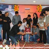 Journey Audio Launch - Pictures | Picture 127117